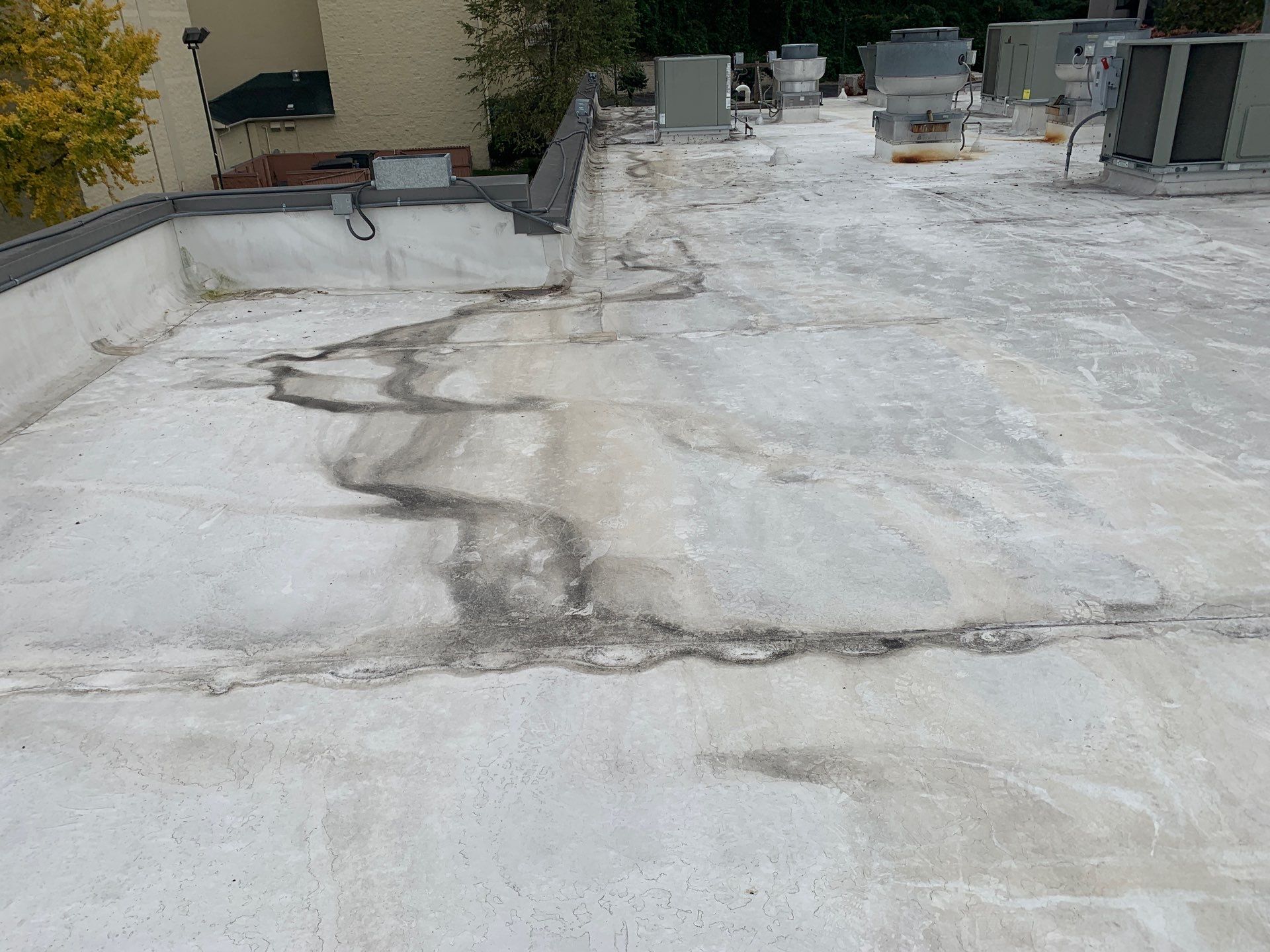 Wind Damage Roof Repair commercial roofing in Lexington