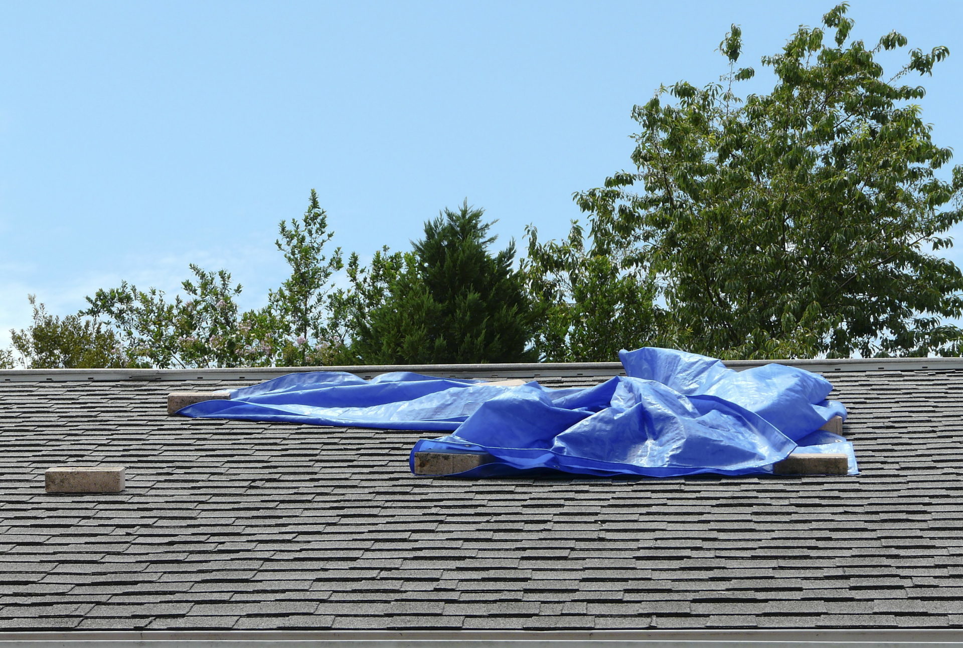 Commercial Roof Leak Repair commercial roofing in Lexington