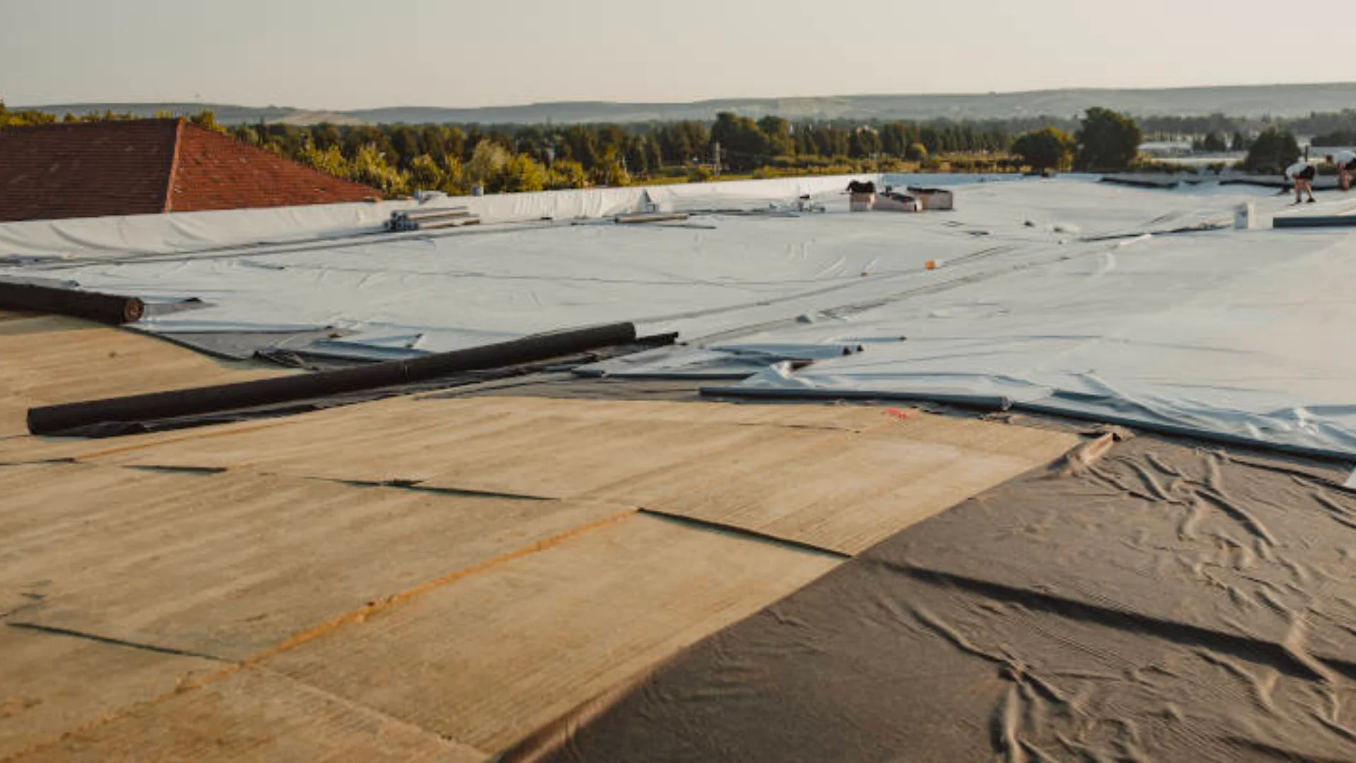 Emergency Dry In Tarping in Lexington, KY