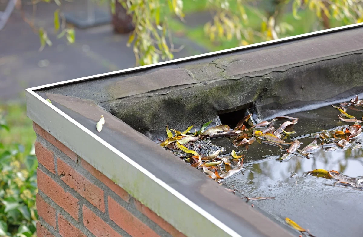 Roof Drains Scuppers commercial roofing in Lexington